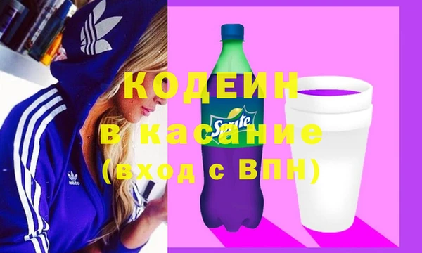 спиды Богородицк