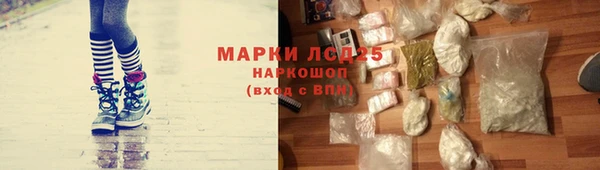 PSILOCYBIN Беломорск