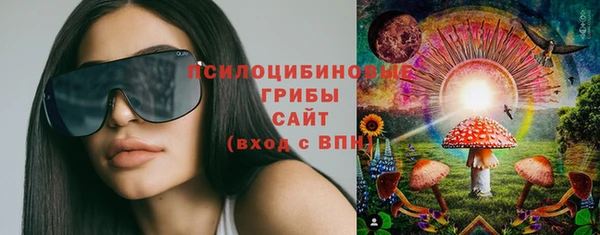 крисы Белоозёрский