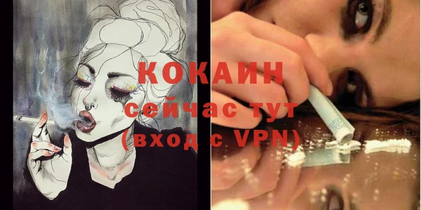 твердый Белокуриха