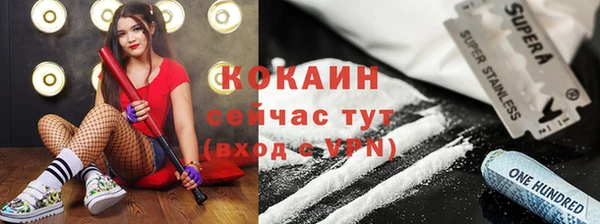 крисы Белоозёрский