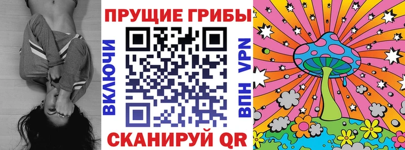 Галлюциногенные грибы Cubensis  Купить закладки  Можайск 