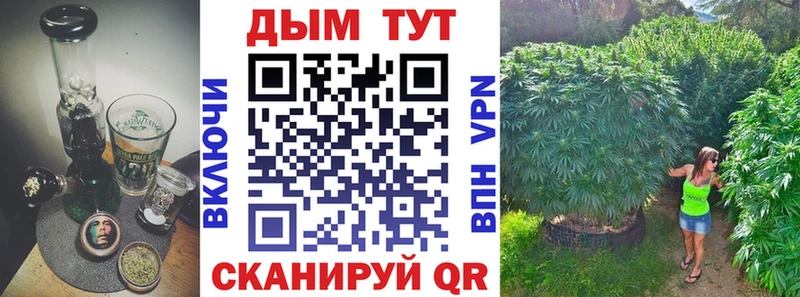 Каннабис SATIVA & INDICA  Купить где  Можайск 